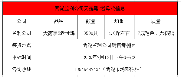 監(jiān)利招投標，推動地方經濟發(fā)展的核心動力