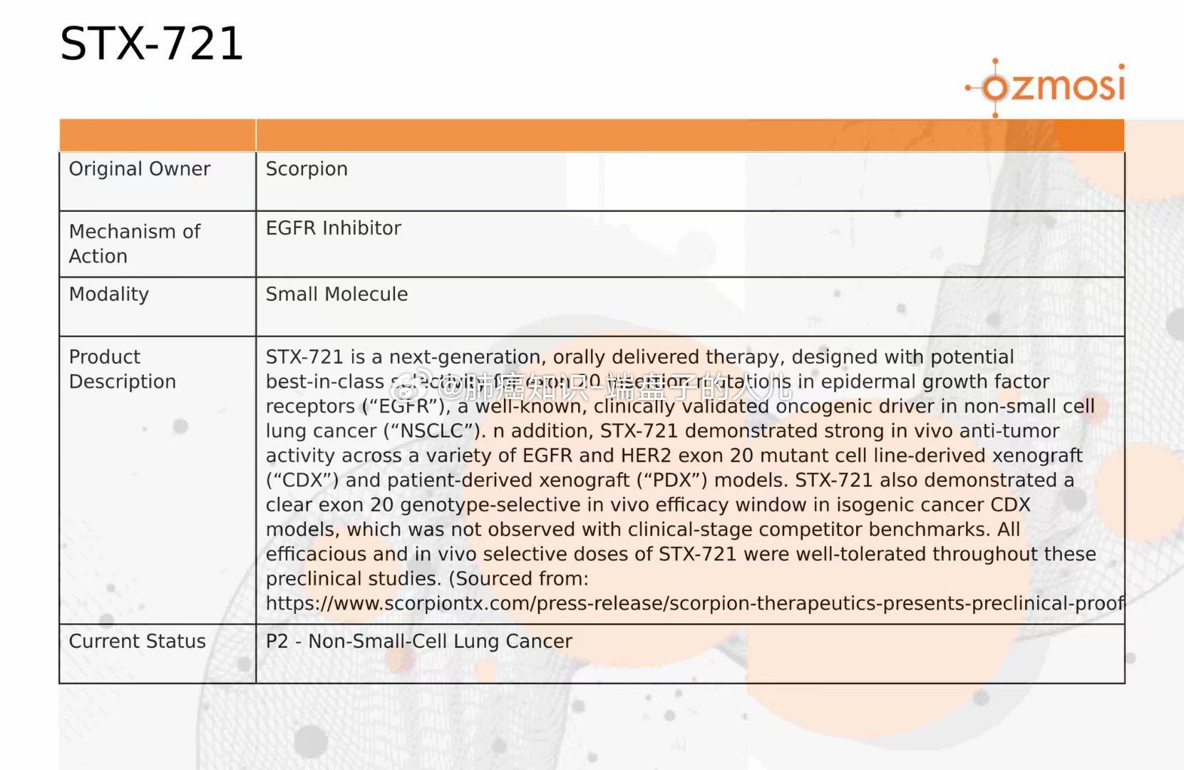 STX最新動態(tài)引領(lǐng)行業(yè)變革風潮