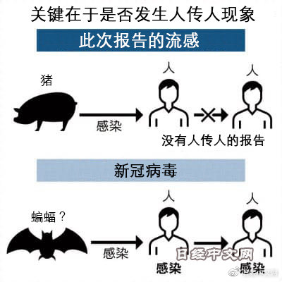 全國最新豬流感概況及其影響分析