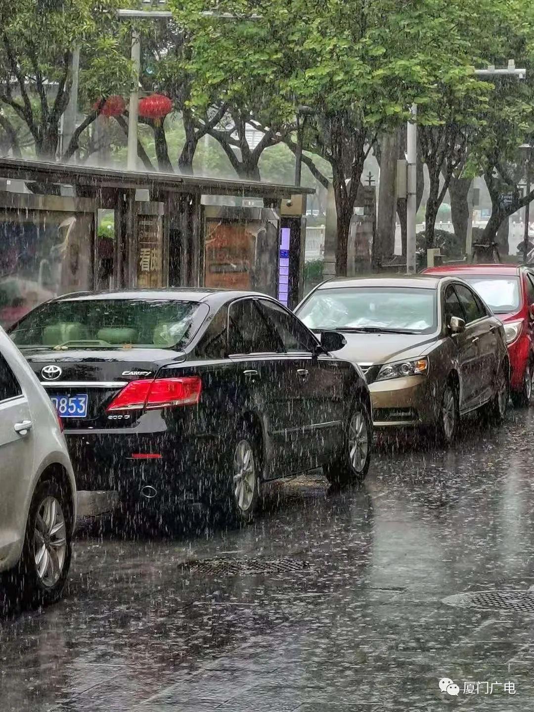 福建暴雨預(yù)警信號(hào)升級(jí)，守護(hù)生命安全刻不容緩