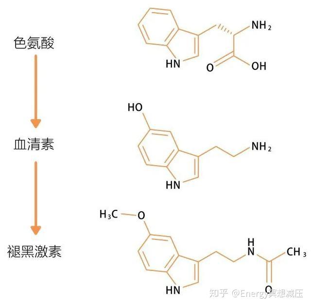 2025年1月11日 第4頁(yè)