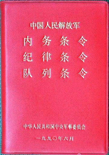 最新條令頒布及其年份背后的深意與影響探究